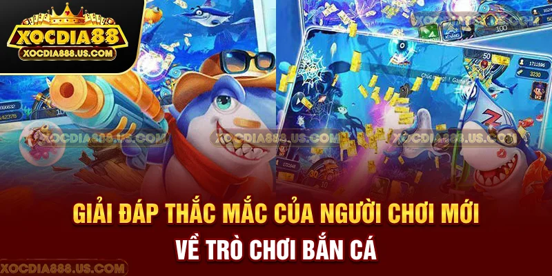 Giải đáp thắc mắc của người chơi mới về trò chơi bắn cá
