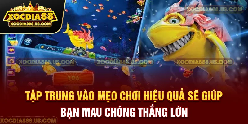 Tập trung vào mẹo chơi hiệu quả sẽ giúp bạn mau chóng thắng lớn
