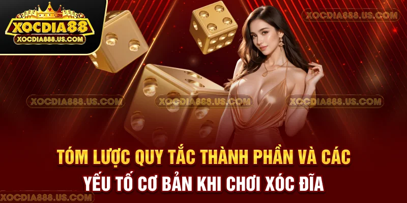 Tóm lược quy tắc, thành phần và các yếu tố cơ bản khi chơi xóc đĩa