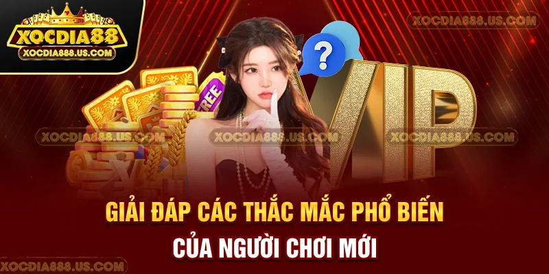 Giải đáp các thắc mắc phổ biến của người chơi mới