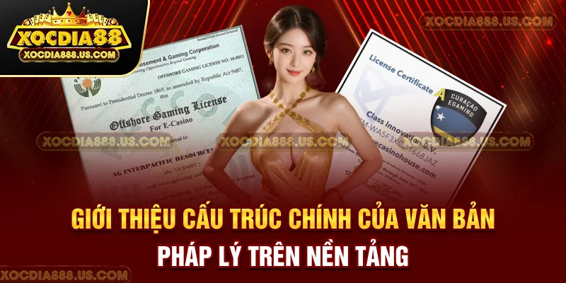 Giới thiệu cấu trúc chính của văn bản pháp lý trên nền tảng