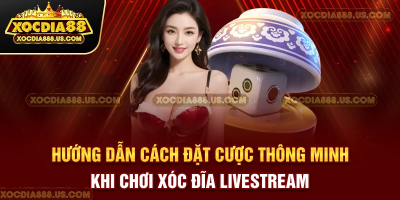 Hướng dẫn cách đặt cược thông minh khi chơi xóc đĩa livestream