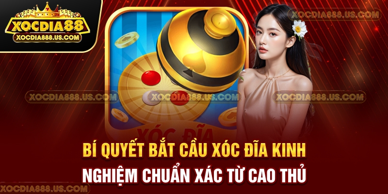 bi-quyet-bat-cau-xoc-dia-kinh-nghiem-chuan-xac-tu-cao-thu