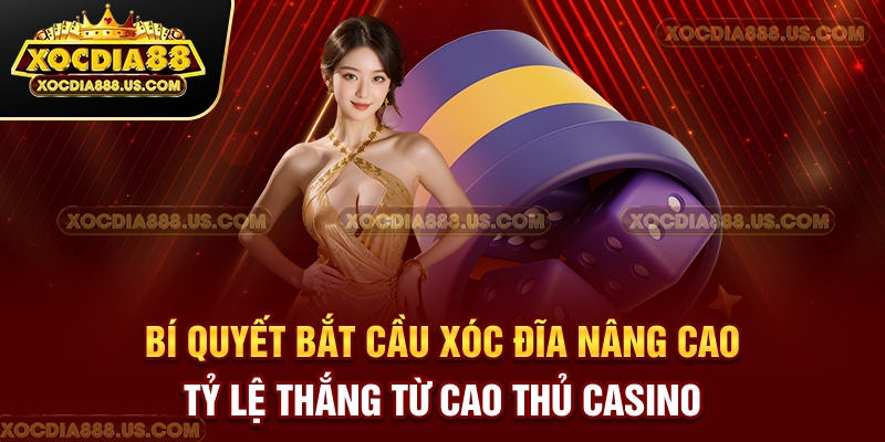 Bí quyết bắt cầu Xóc Đĩa nâng cao tỷ lệ thắng từ cao thủ casino
